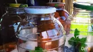 Домашние соленья могут обернуться штрафом: что нельзя делать новосибирцам
