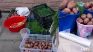 Картофель по 80 рублей: как жаркое лето ударило по урожаю под Новосибирском