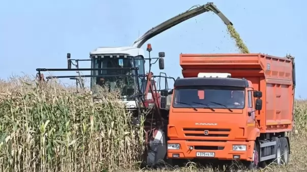 В Омской области собрали уже больше двух миллионов тонн зерна