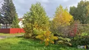 Кардиолог рассказал омичам, как пережить опасные перепады погоды
