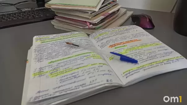 30 лет культурного обмена: Гёте-Институт объявил о прекращении работы в Новосибирске
