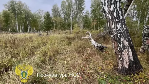 Застрелил знакомого на охоте: что произошло при преследовании медведя под Новосибирском — подробности