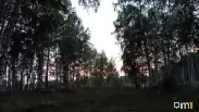 В Новосибирской области назвали дату открытия сезона охоты на лосей