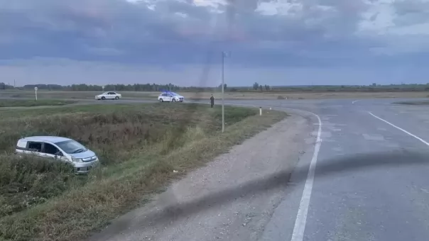 Выпал из окна машины: пятилетний ребёнок серьёзно пострадал в ДТП под Новосибирском