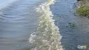 В Новосибирске предупредили об опасном снижении уровня воды в Оби