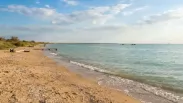 Солёность Азовского моря достигла максимума за 150 лет: академик РАН предупредил об угрозе