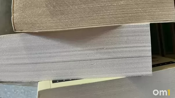 «Литературный диктант»: что это и как омичам принять участие?