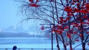 Первый снег и минус ночью: середина октября в Новосибирске удивит погодой