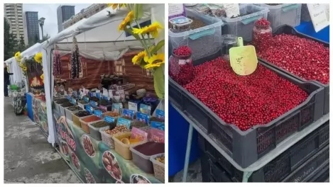 Ярмарка с овощами, фруктами и ягодами открылась у ГПНТБ в Новосибирске