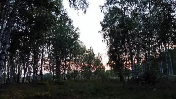Один погиб, двое ранены: стрелка с реки Иня задержали под Новосибирском