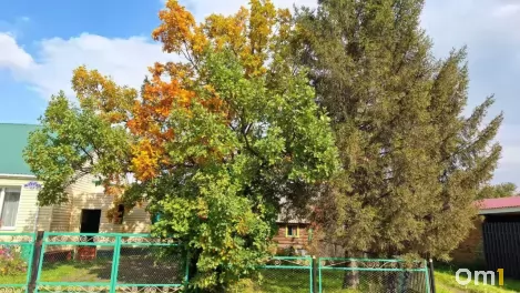 То дождь, то солнце: какой будет погода в Омске на следующей неделе?