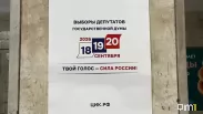 Явка на выборах достигла 28,41 % в Новосибирской области: как проходит последний день выборов