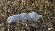 Корейцы нашли в своей еде бактерию, которая спасёт всех от микропластика