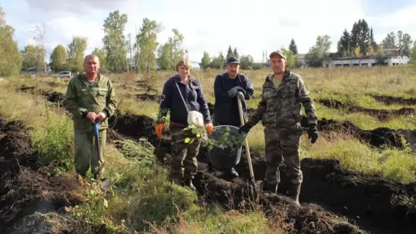 В Крутинском районе высадили 130 деревьев в рамках акции «Сохраним лес»