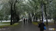 Зима близко: первый снег может выпасть в Новосибирской области уже в выходные