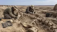 В Западной Сибири нашли останки «сибирского единорога» возрастом 350 тысяч лет