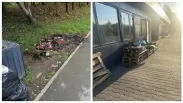 Горы мусора и гнилые фрукты: новосибирцы пожаловались на мигрантов, которые униточжают озеленённую территорию на МЖК