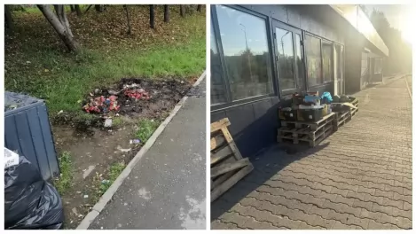 Горы мусора и гнилые фрукты: новосибирцы пожаловались на мигрантов, которые униточжают озеленённую территорию на МЖК