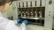В Омской области проверили качество 70 тысяч гектаров сельхозпосевов