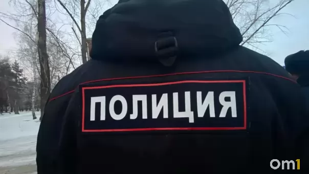 Екатерина Мизулина призвала проверить сообщения СМИ об инциденте с Джиганом