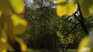 Теперь официально: в Омске утвердили новое название для сквера на Декабристов