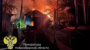 Пять животных погибли в страшном пожаре в Новосибирском зоопарке год назад