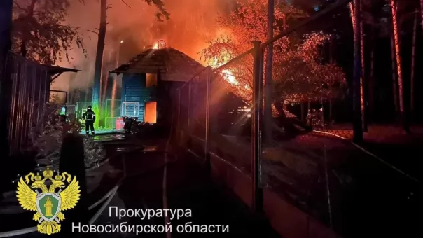 Пять животных погибли в страшном пожаре в Новосибирском зоопарке год назад