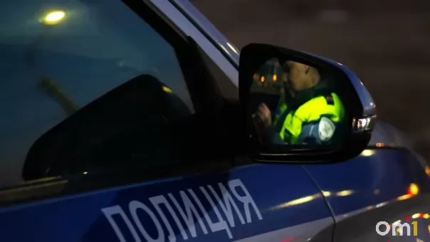 Застолье закончилось тараном бани: житель Алтая угнал Camry у знакомой