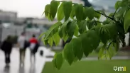 Дожди почти весь месяц: что ждёт новосибирцев в октябре