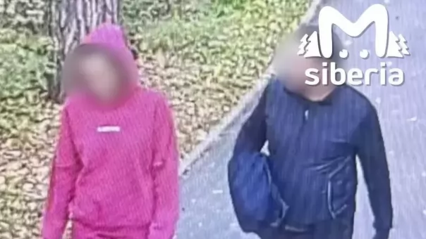 В Новосибирске мужчина избил беременную женщину велосипедом в Заельцовском парке