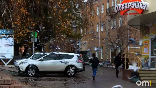 Омск ждёт резкое похолодание и дожди со снегом: когда закончится тёплая погода