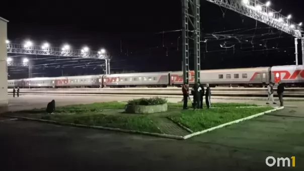 В РЖД объяснили эвакуацию пассажиров из поезда Тында — Кисловодск в Курганской области