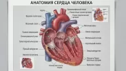 Инсульт у молодежи до 25 лет: врач назвал три главные причины патологии