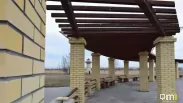 День ходьбы в Птичьей гавани: что ждёт омичей