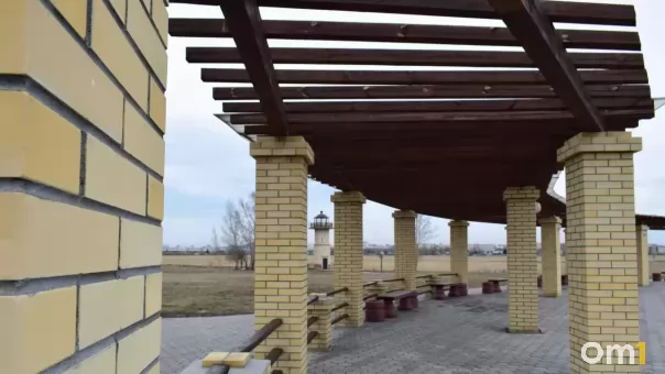 День ходьбы в Птичьей гавани: что ждёт омичей
