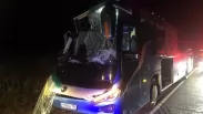 Страшная ночная авария с рейсовым автобусом под Новосибирском: СК раскрыл подробности ДТП