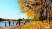 Новосибирцев попросили не ходить в парки: чего опасаться