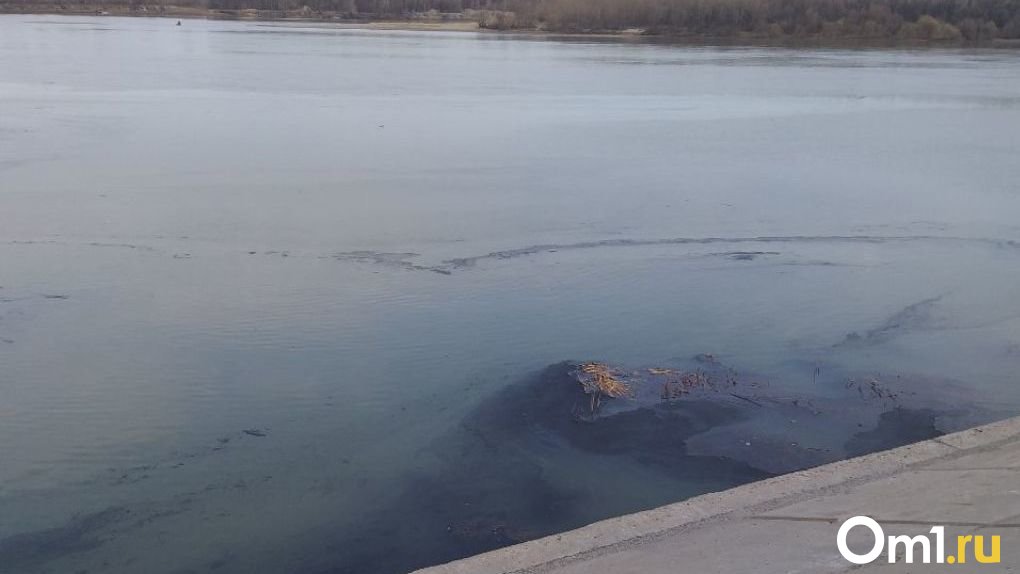 Воду в омском Иртыше проверят из-за сообщений о пятнах