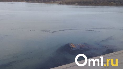 Воду в омском Иртыше проверят из-за сообщений о пятнах