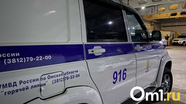 По сети распространяется фейк о заложниках в Горьковском районе Омской области