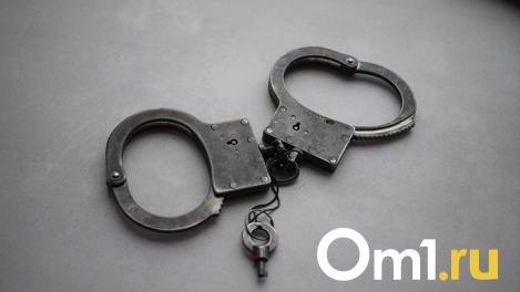 С 21 до 28 лет проведёт в колонии. Молодого омича осудили за смертельное ДТП