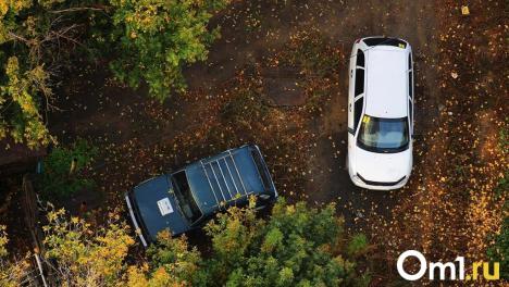 Омичам рассказали, в каких регионах выгодно покупать автомобили с пробегом