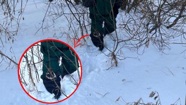 Под Новосибирском в лесопарке имени Синягина нашли ещё один капкан