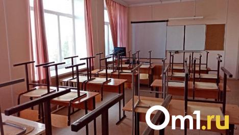 Девочка разрезала руку однокласснику в омской школе