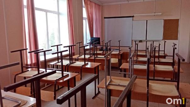Девочка разрезала руку однокласснику в омской школе