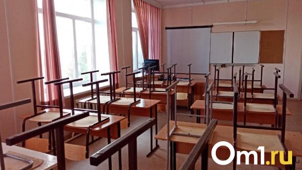 Девочка разрезала руку однокласснику в омской школе