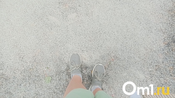 Улицы Новосибирска завалило тополиным пухом. ФОТО