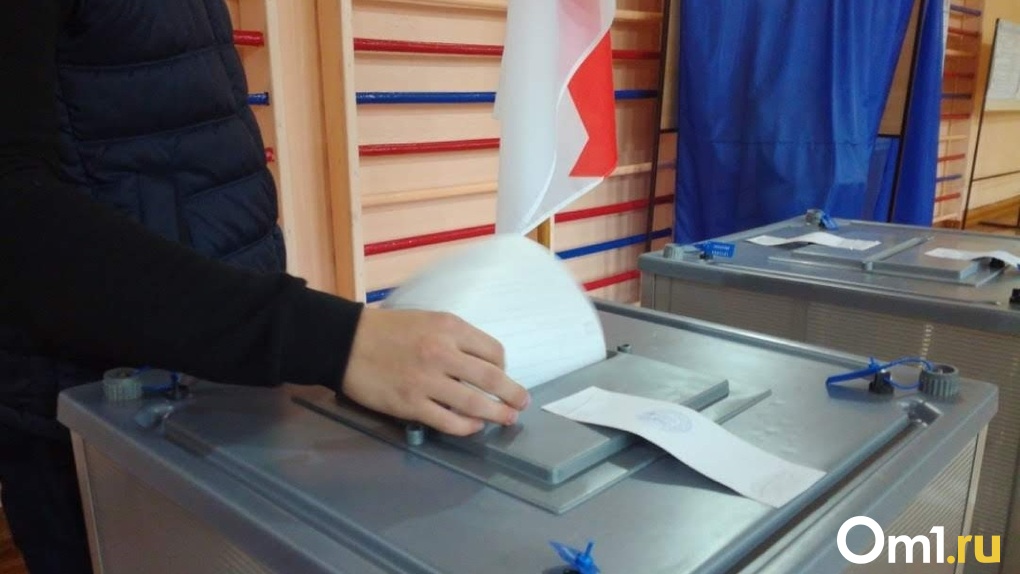 В регионе ограничат список людей, которых могут избрать на пост губернатора Омской области