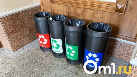 В Новосибирской области приступили к ликвидации свалок