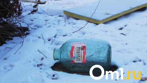 Новый мусорный полигон в Омской области не получил одобрение госэкспертизы